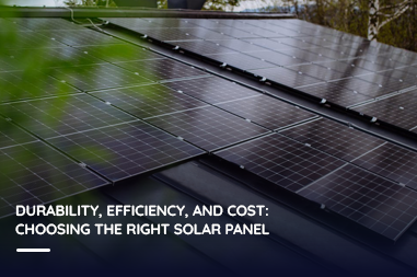 Durability, Efficiency, and Cost: Choosing the Right Solar Panel